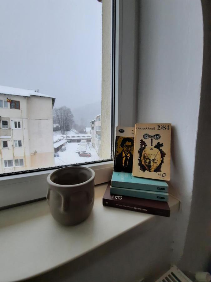 Cocooning In A Lovely Mountain Suite - Two Azuga Exteriör bild