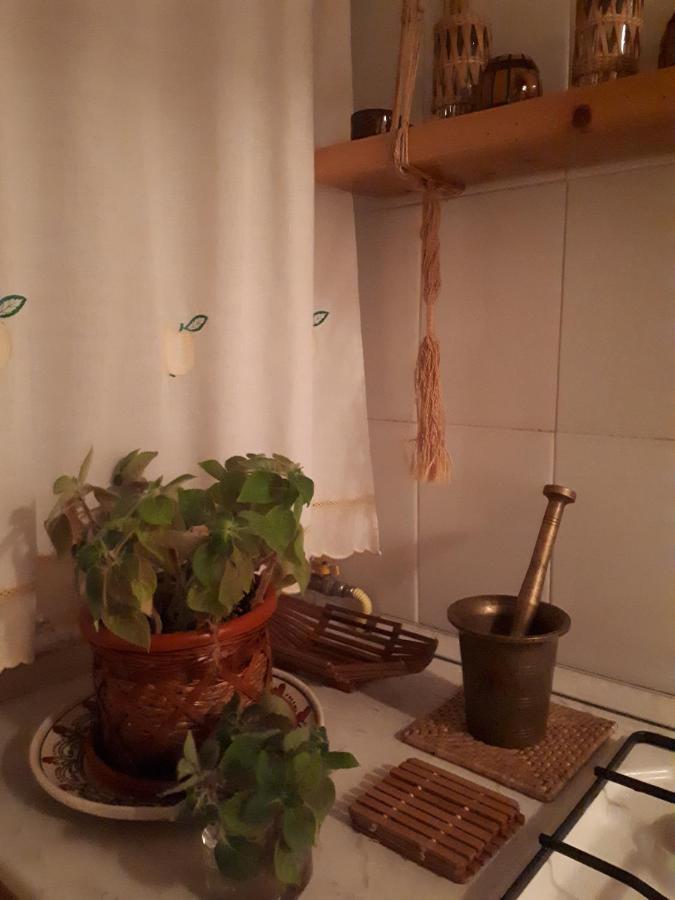 Cocooning In A Lovely Mountain Suite - Two Azuga Exteriör bild